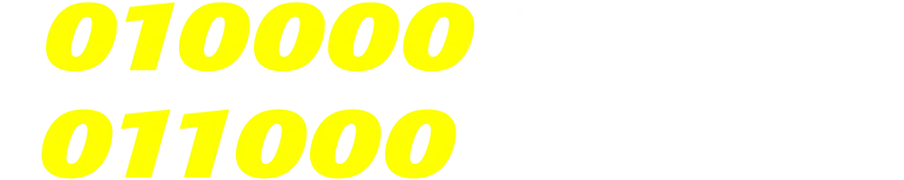 01000036081-01100036081