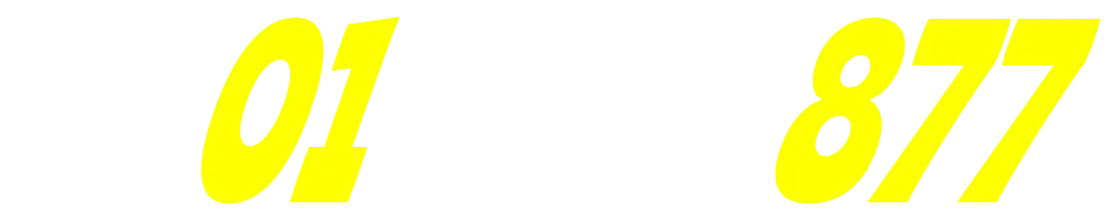 01013333877